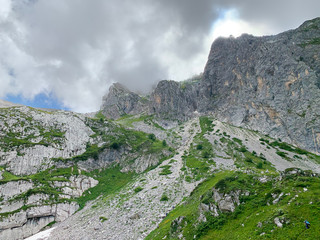 Obraz premium Abkhazia, Arabica plateau in summer in rainy weather