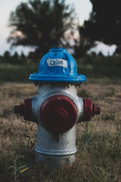 Chloe The Red And Blue Fire Hydrant