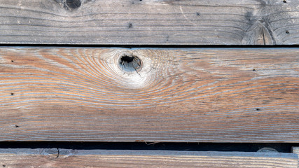 Obraz premium wood grain texture