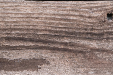 wood grain texture
