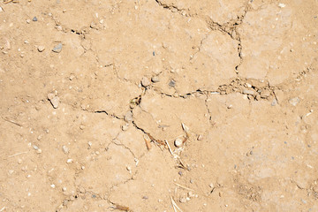 Earth Cracks