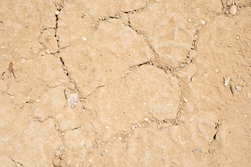 Earth Cracks