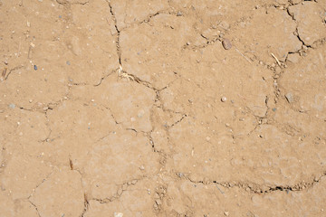 Fototapeta premium Earth Cracks