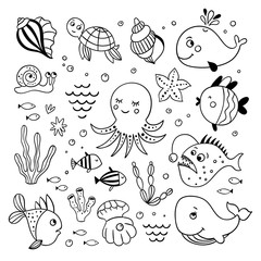 Sea creatures and underwater animals vector illustrations. Hand drawn fishes, octopus, turtle, sea shells, plants