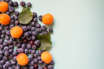 background with blueberries and apricots light tree texture. view from above