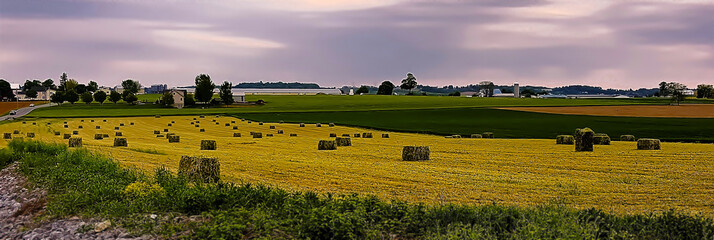 Hay  bales in a field at dusk in Lancaster county, Pennsylvania