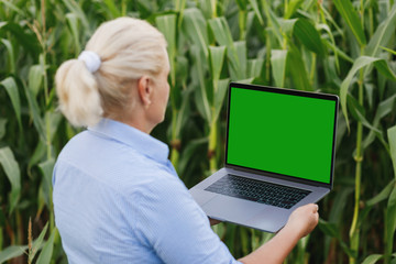 Female farmer in the field checking corn plants during a sunny summer day