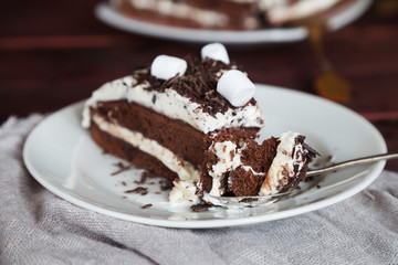 Slice of cake with, cream, chocolate and marshmallow