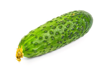 Single fresh cucumber on white background