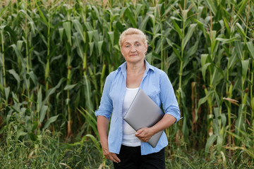 Female farmer in the field checking corn plants during a sunny summer day