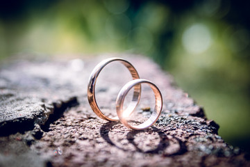 Wedding rings on stone and green grassy background.