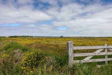 Fototapeta premium colorful estate with a sheep barn behind the wooden country gate