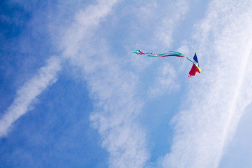 kite in the sky