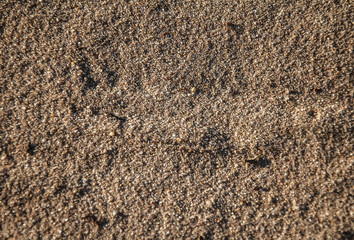 ground texture of dry soil