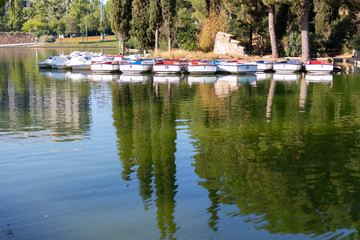 Fototapeta na wymiar Boats of the park's lake moored in the morning