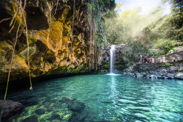 Annandale Falls Grenada - Waterfall - obrazy, fototapety, plakaty