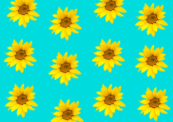 Floral pattern on blue background 