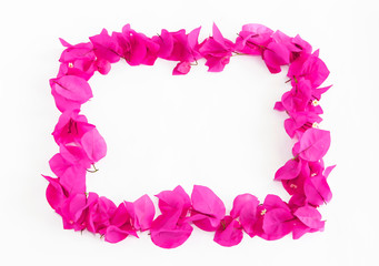 decorative frame from natural pink small flowers of bougainvillea