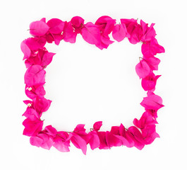 decorative frame from natural pink small flowers of bougainvillea