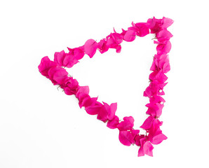 decorative frame from natural pink small flowers of bougainvillea