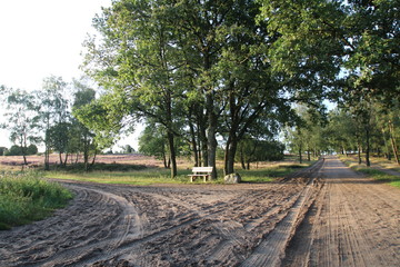 Sch&ouml;ne Wander- und Reitwege in der L&uuml;neburger Heide