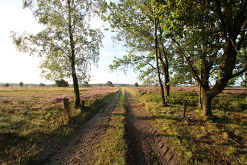 Schöne Wander- und Reitwege in der Lüneburger Heide