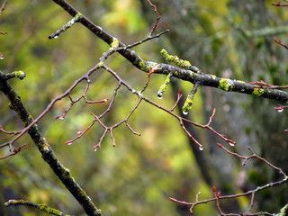 barbed wire on a background of blue sky
