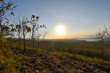 close up of teak wood plank in wood cutting factory