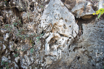 Granular limestone rock surface. Roe stone rock surface. Limestone crag texture. Roe-stone crag face. Limestone stone surface desktop pattern. Calcite crag idle screen. Calcspar reef desktop backdrop