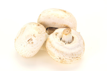 Raw Champignon heap for cooking