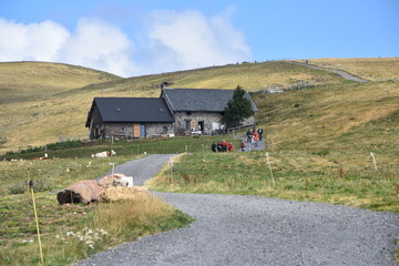 Fototapete bei efototapeten.de bestellen   