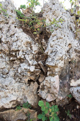 Granular limestone rock surface. Roe stone rock surface. Limestone crag texture. Roe-stone crag face. Limestone stone surface desktop pattern. Calcite crag idle screen. Calcspar reef desktop backdrop