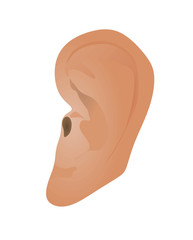Human ear isolated. vector illustration