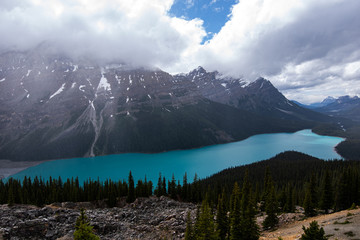 Peyto Lake