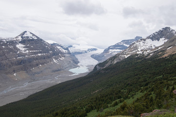 Saskatchewan Glacier