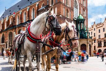 Fototapeta na wymiar Horses in the town center. Carriage for tourists on the background of a historic church.Horse-drawn cart on the main square of the historic city. Tourists on the main market place. Cracow, Poland.
