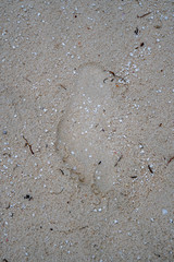 Fussabdruck am Strand