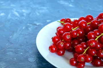 Fresh organic ripe red currant berries on grey rustic background. White plate with natural ripe organic berries with peduncles on old weathered gray backdrop with copy space, isolated, close up