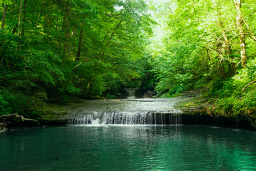 Waterfall Creek in the Woods