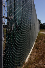 The length of a hurricane fence with green slats weaved throughout the slats. Green trees in the background, dead orange/brown grass in the front.