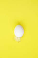 Flat lay. Top view. Organic raw White egg with feather on a yellow background. Protein in food. Easter. With copy space for text or image. Vertical photo.