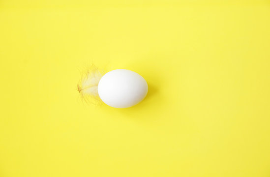 Flat lay. Top view. Organic raw White egg with feather on a yellow background. Protein in food. Easter. With copy space for text or image.