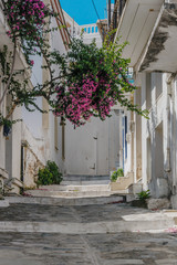 Fototapeta na wymiar Street of Skopelos island,Greece