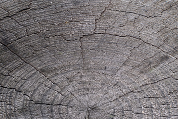 Fototapeta premium old gray-brown natural wood background in the form of a board with cracks, knots and a rough surface