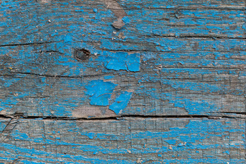 old gray-brown natural wooden background in the form of a blue-painted board with cracks, knots, a rough surface and a paint-covered paint from time to time