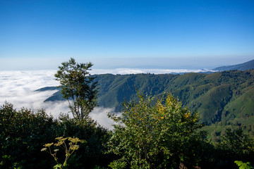 Fototapeta na wymiar Beautiful Protected area of Kintrishi and Resort Gomismta. Amazing nature in mountain Georgia.