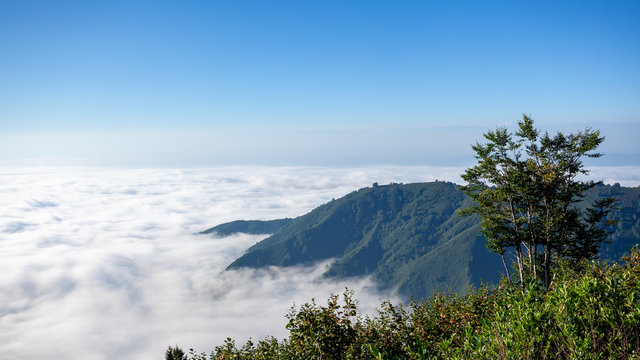 Beautiful Protected area of Kintrishi and Resort Gomismta. Amazing nature in mountain Georgia.