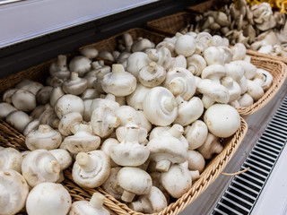 Mushroom champignon on market. mushrooms at the farmers market.