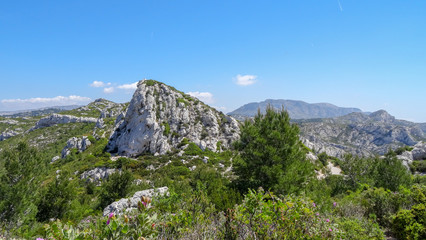 Park with calanques in Marseille, south of France.