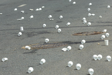 Paper cups scattered on the asphalt